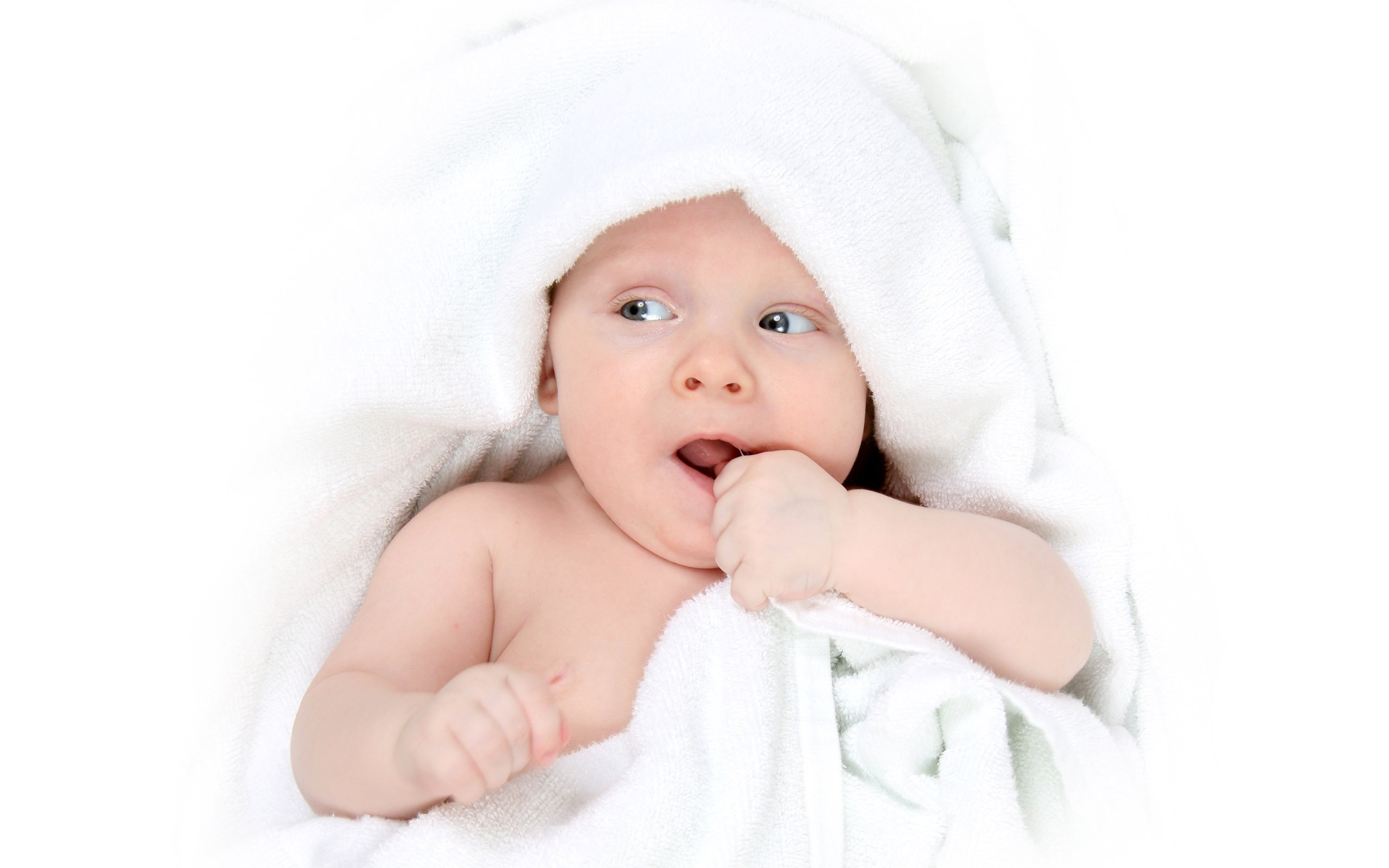 福州借卵试管试管婴儿的成功几率